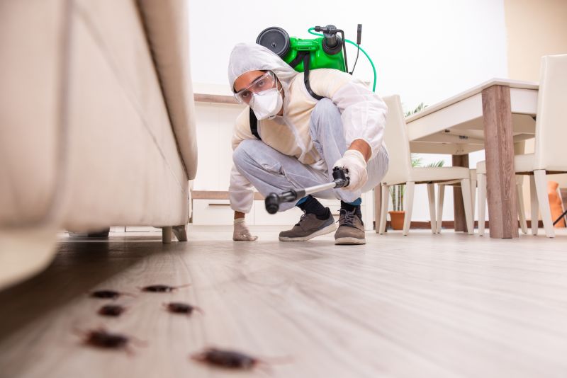 Spider Extermination Service